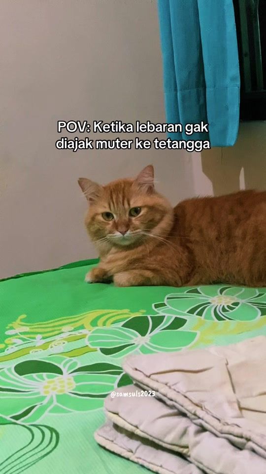 TikTok video thumbnail by samsuls2023