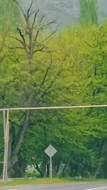 TikTok video thumbnail by .yarali_urek