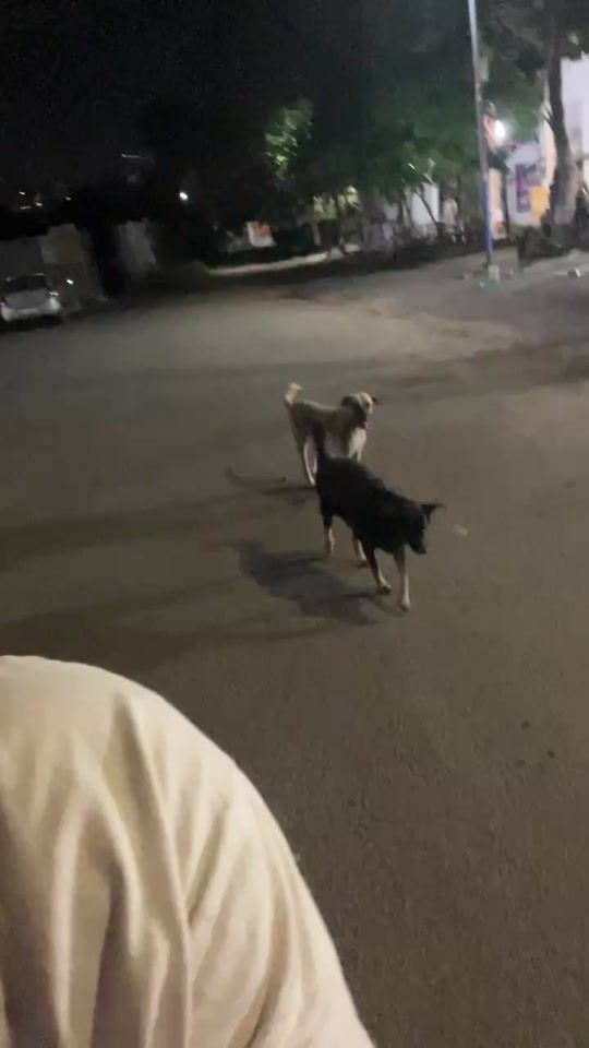TikTok video thumbnail by seo._.jun__2