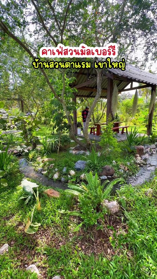 TikTok video thumbnail by wanlathongdithew