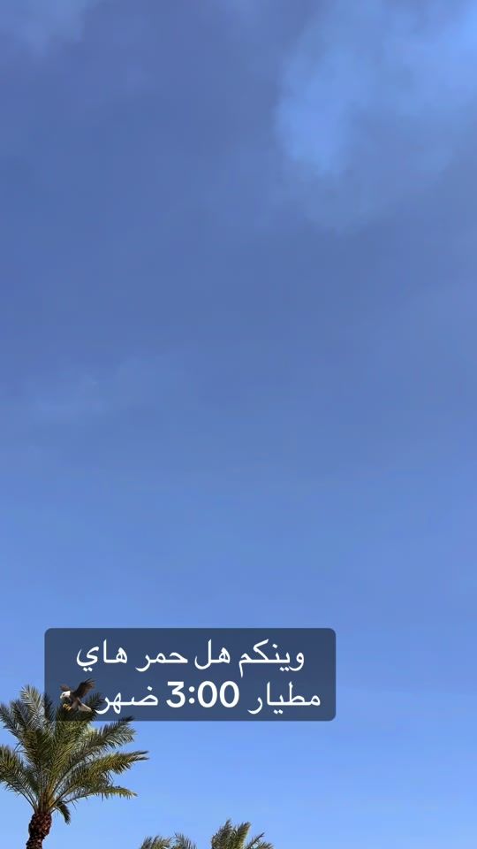 TikTok video thumbnail by owwe7