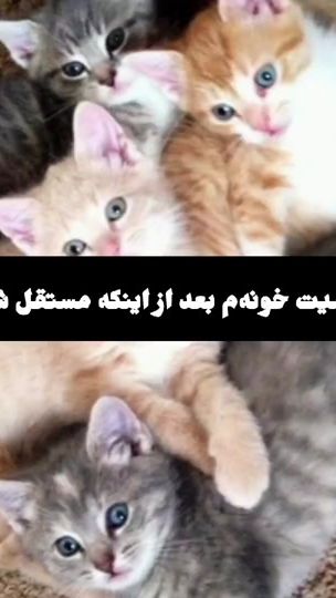 TikTok video thumbnail by nahal4322