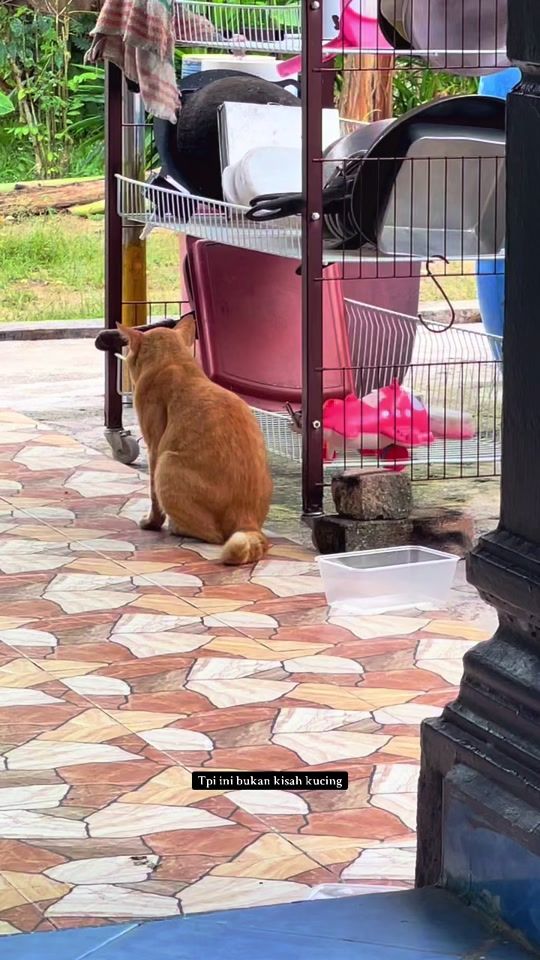 TikTok video thumbnail by rfteahhs