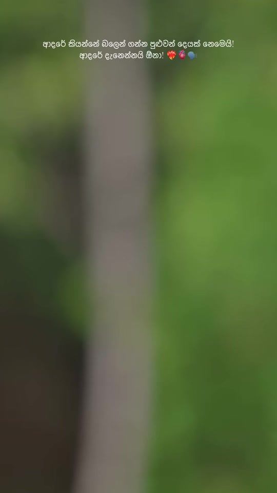 TikTok video thumbnail by saaara_sk