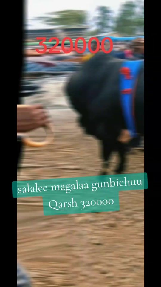 TikTok video thumbnail by tulluuoro