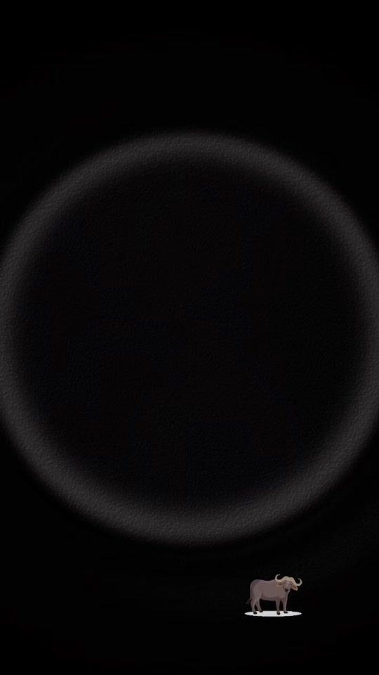 TikTok video thumbnail by dollypatty_