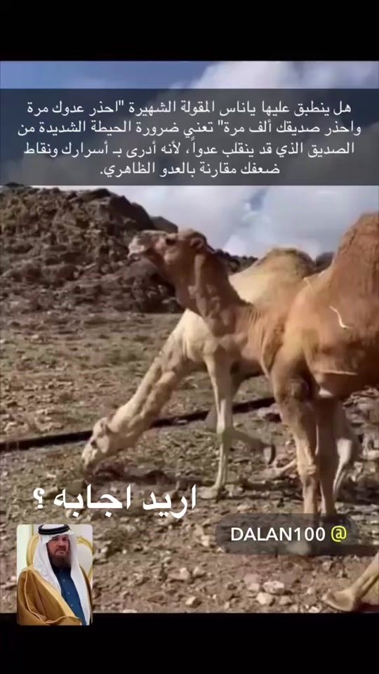 TikTok video thumbnail by dalan100