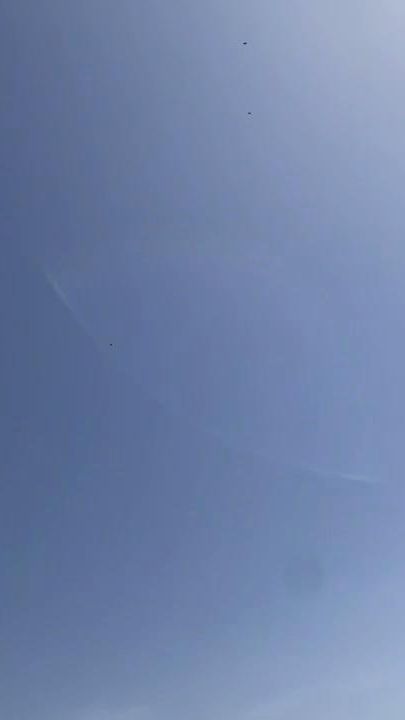 TikTok video thumbnail by ursula909