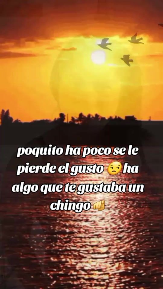 TikTok video thumbnail by solyluna341