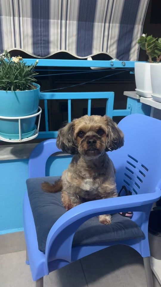 TikTok video thumbnail by metal_detector.al