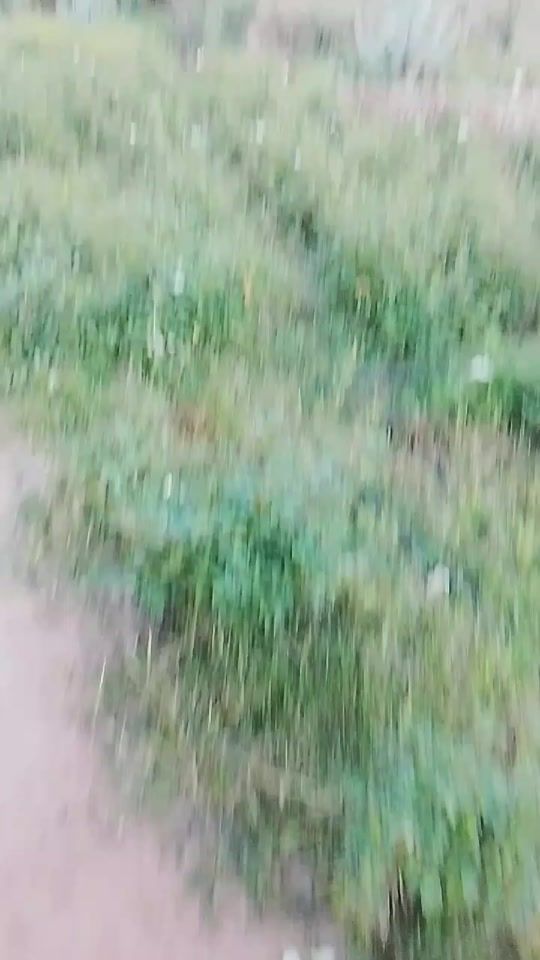 TikTok video thumbnail by hanan_67.13