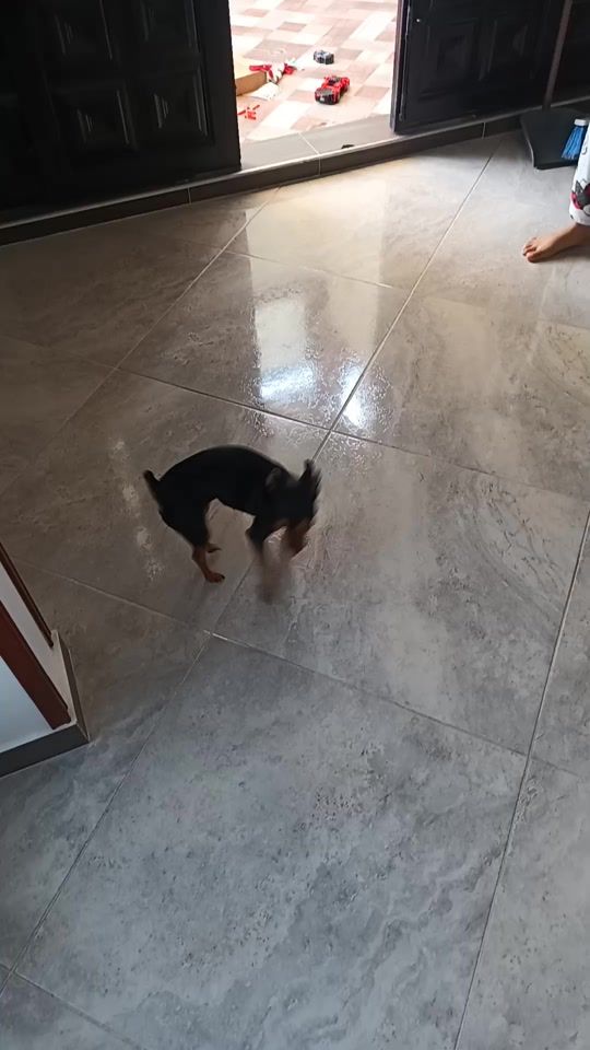 TikTok video thumbnail by luisa.fernanda.ol3