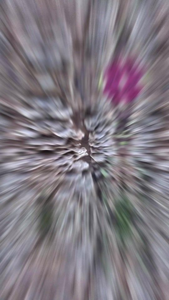 TikTok video thumbnail by yuden203