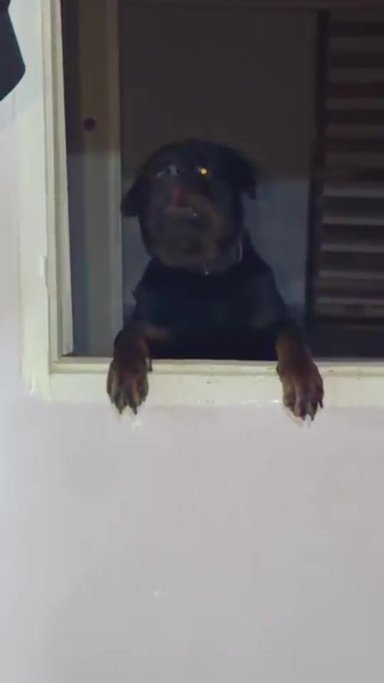 TikTok video thumbnail by _louay_zer