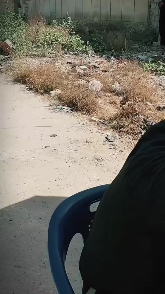 TikTok video thumbnail by ashiq_pathan786