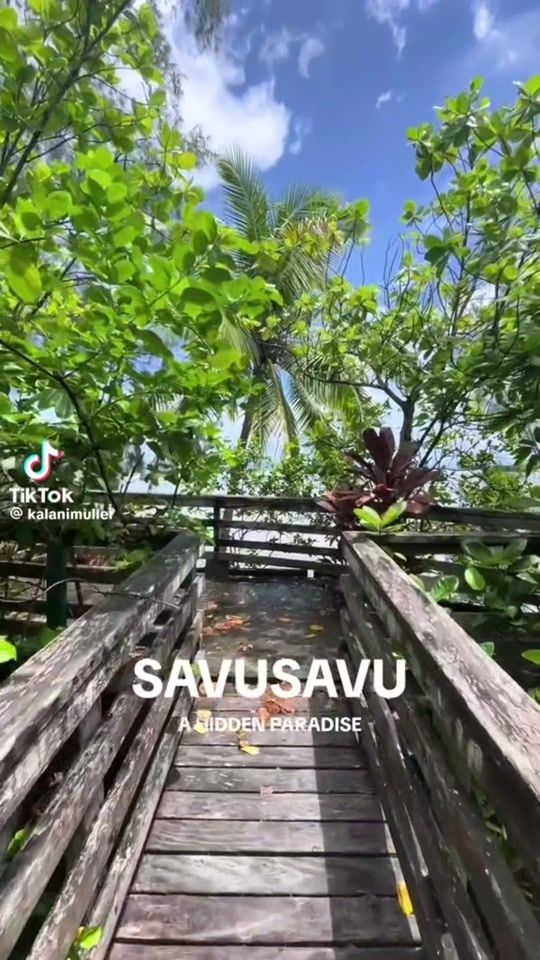TikTok video thumbnail by rakeshnilal