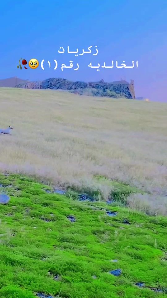 TikTok video thumbnail by sncorasncora