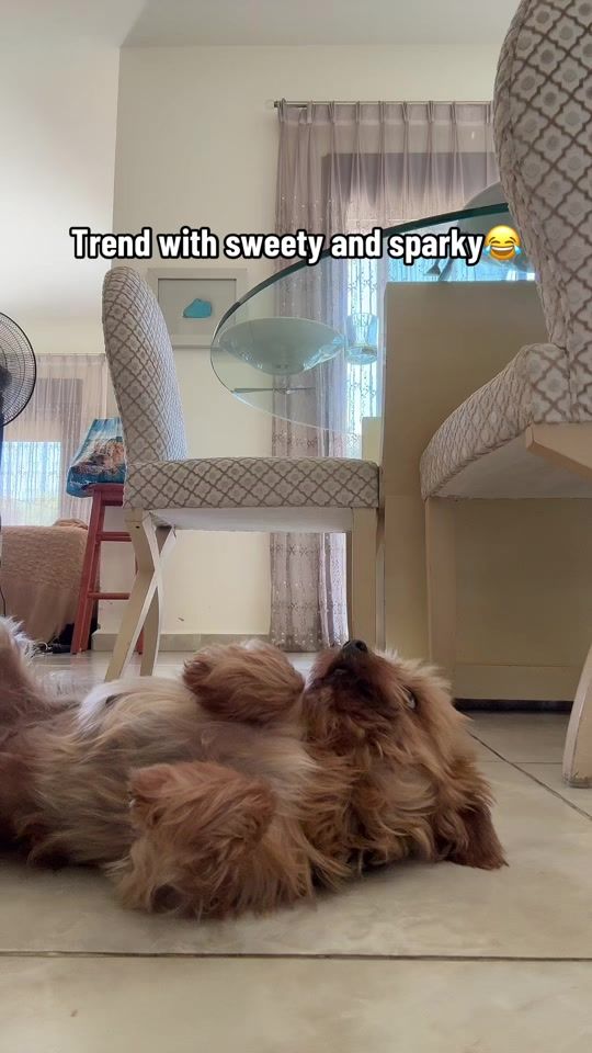 TikTok video thumbnail by joeynachef
