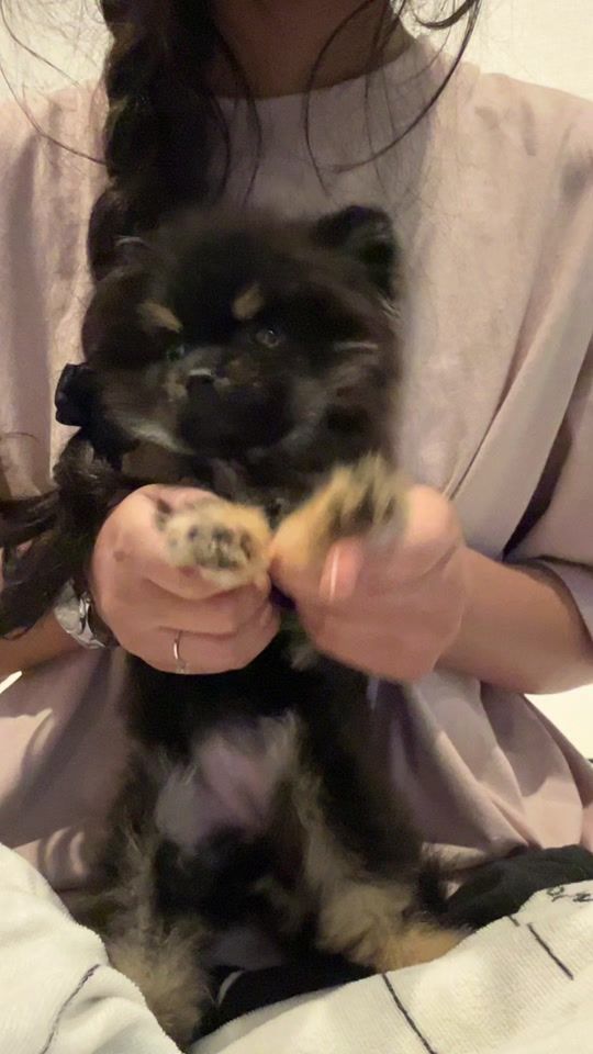 TikTok video thumbnail by yoonpyaethawdar