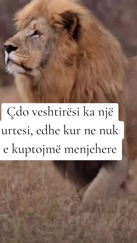 TikTok video thumbnail by thanje.per.jeten