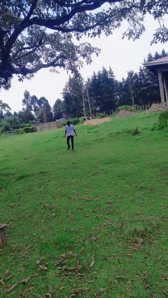 TikTok video thumbnail by anteeboy01