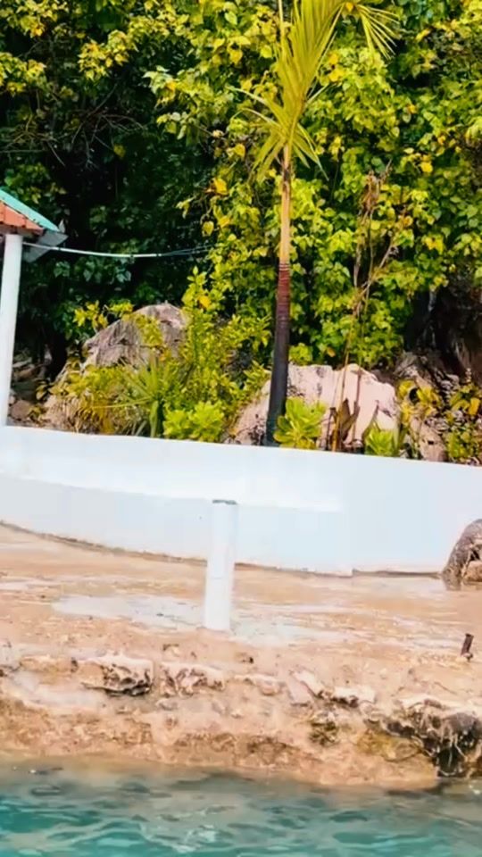 TikTok video thumbnail by pf_media7