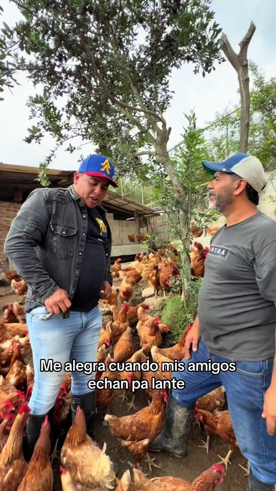 TikTok video thumbnail by chaval.tv
