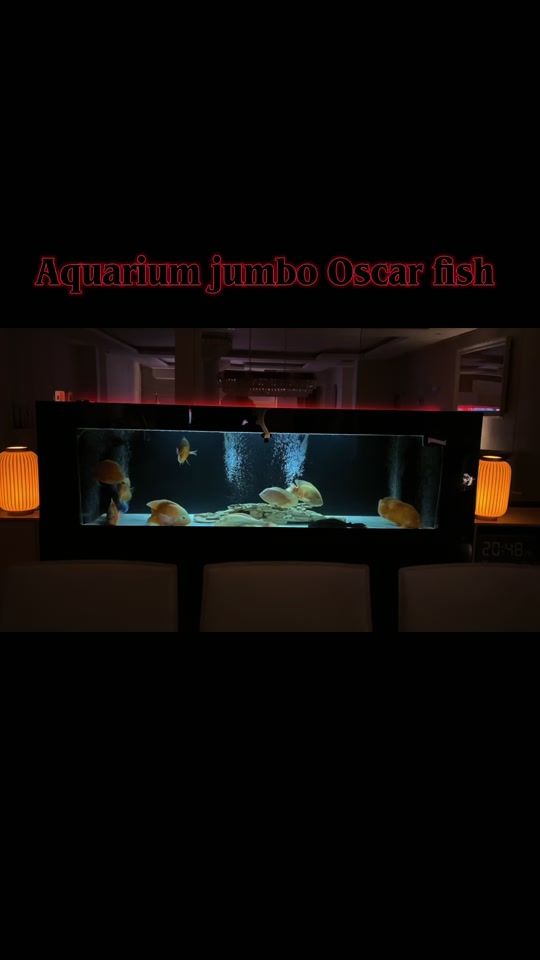 TikTok video thumbnail by kingofsniper500