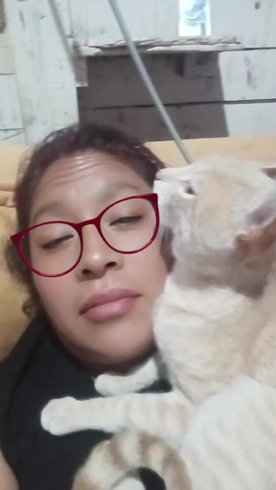 TikTok video thumbnail by andreadextrerosal