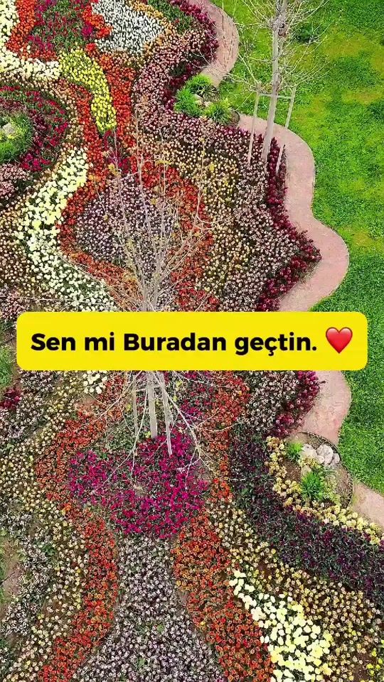 TikTok video thumbnail by gamzeguven42