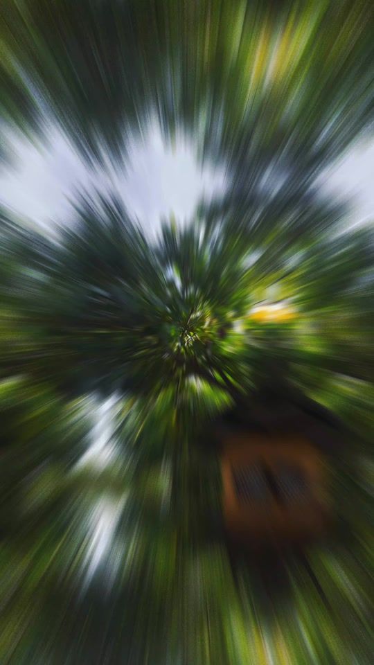 TikTok video thumbnail by bryanwevo6