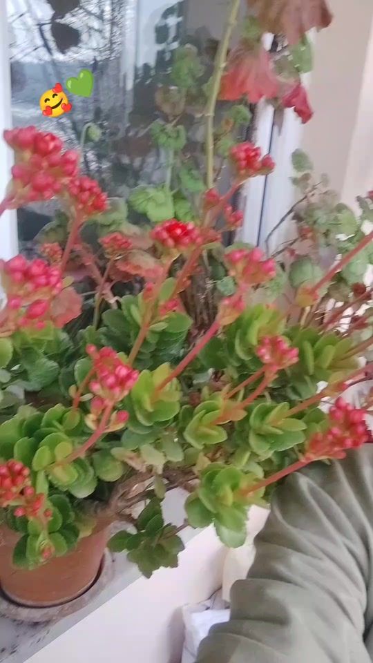 TikTok video thumbnail by hanife_377