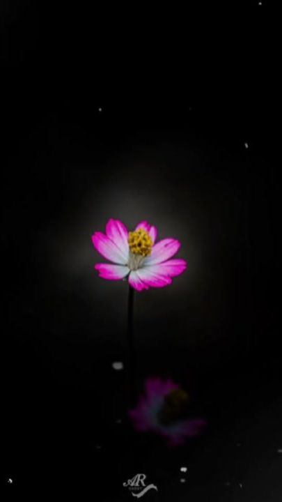 TikTok video thumbnail by frombarisal0