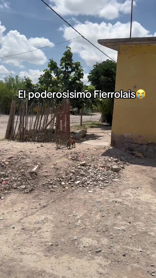 TikTok video thumbnail by elweeso_oficial