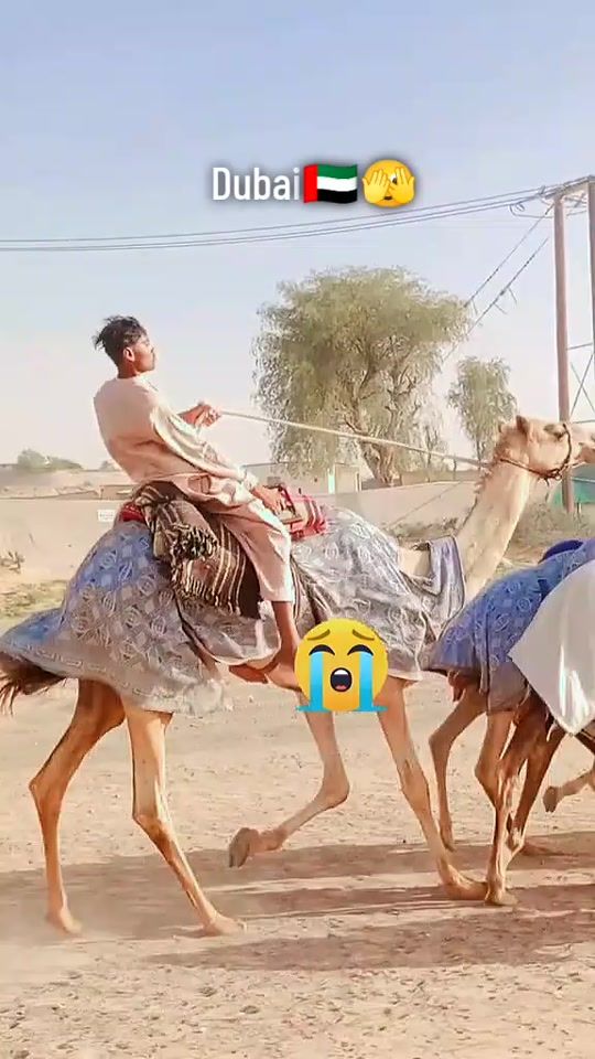 TikTok video thumbnail by naveedmahar1120