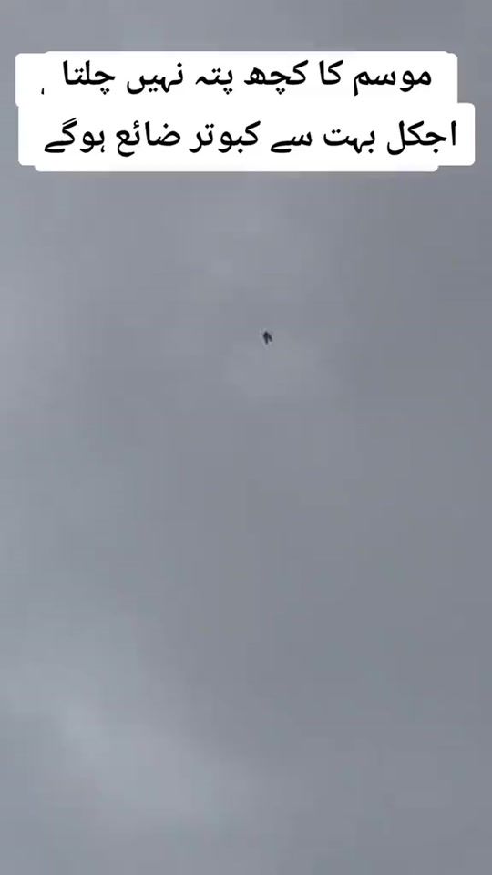 TikTok video thumbnail by jatt.sab7225