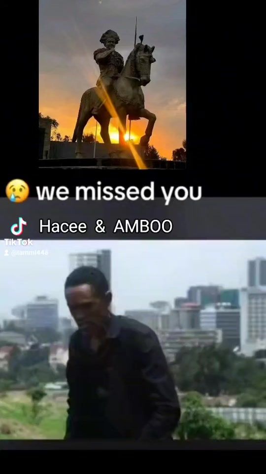TikTok video thumbnail by lammi448