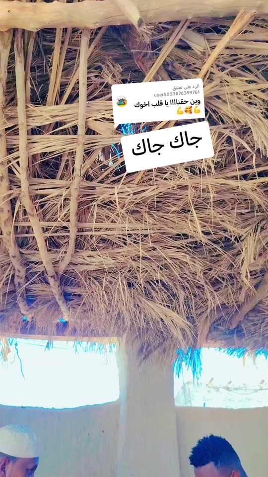 TikTok video thumbnail by wadadil28