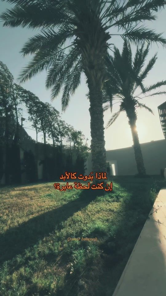 TikTok video thumbnail by qamar.moon91