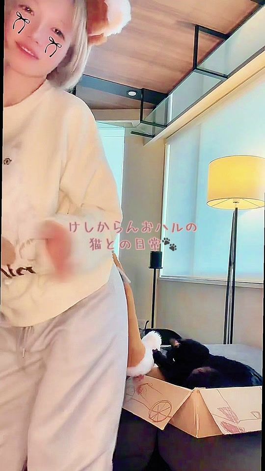 TikTok video thumbnail by halhal_0402