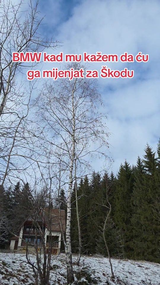 TikTok video thumbnail by adinskulj