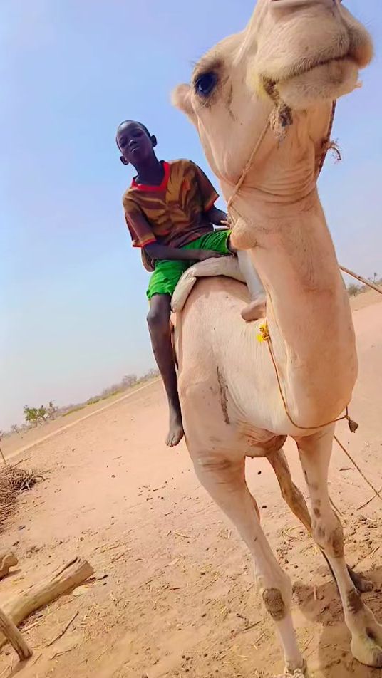 TikTok video thumbnail by moctar_sagara1