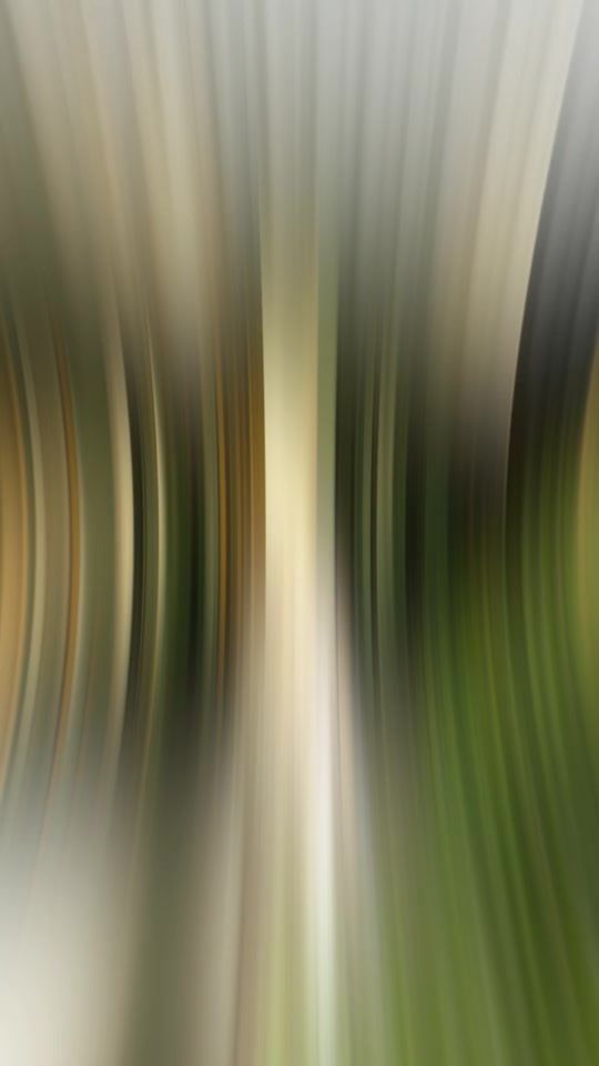 TikTok video thumbnail by samsonphoto