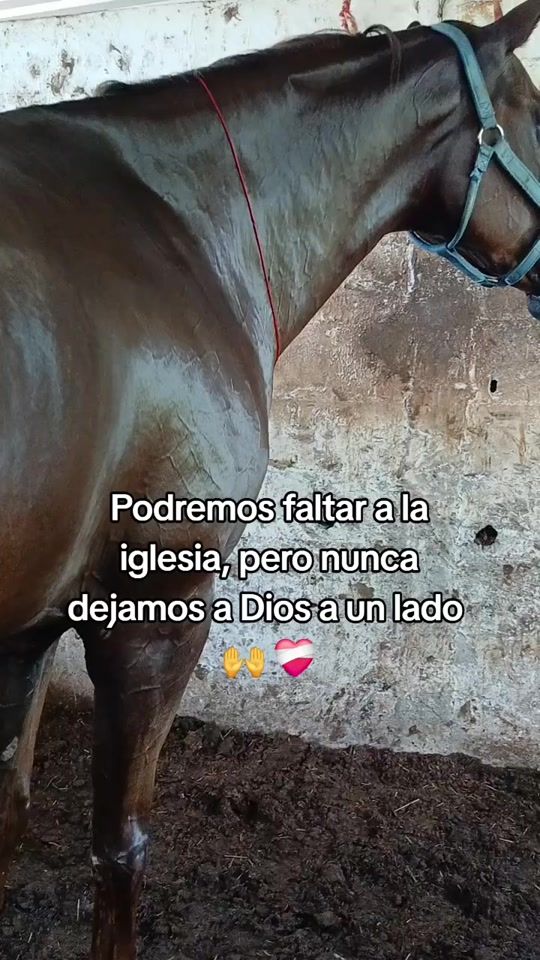 TikTok video thumbnail by salazar0234