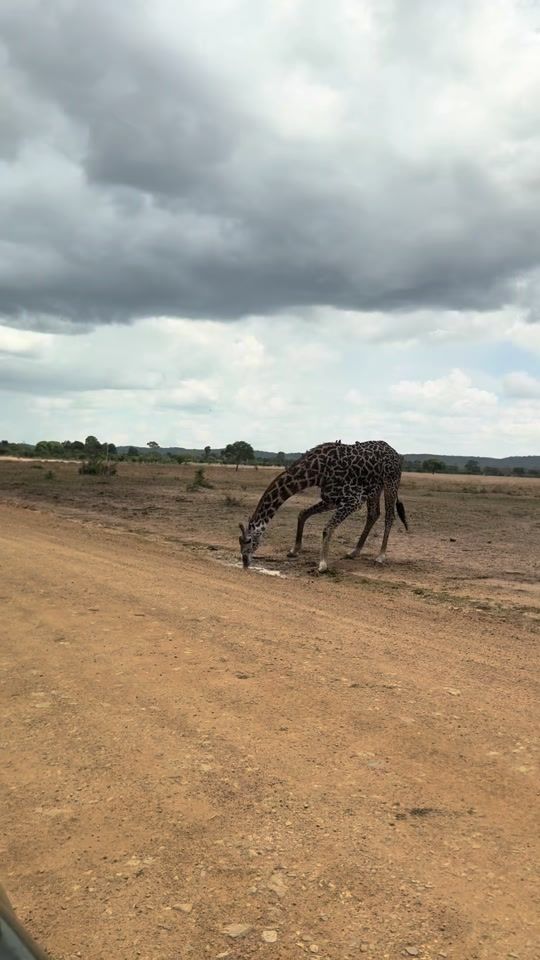 TikTok video thumbnail by mfaransa_bongo