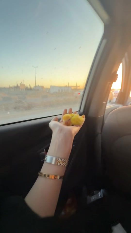 TikTok video thumbnail by fay_.ed2