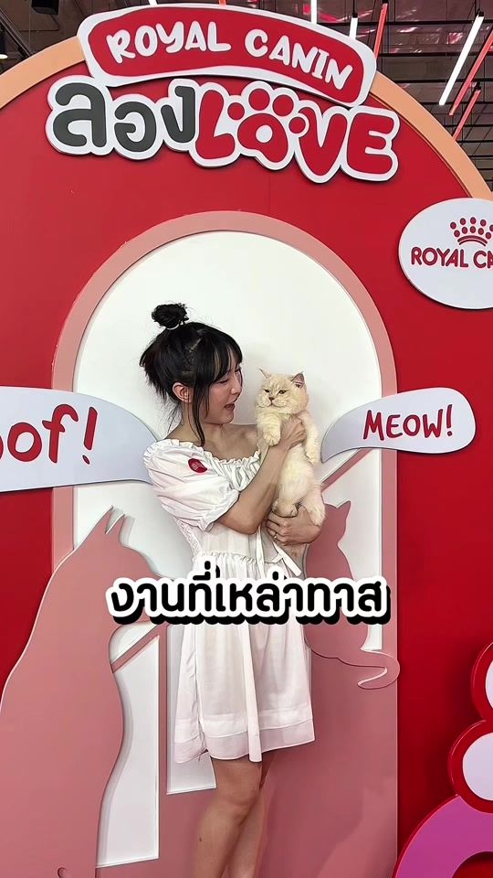 TikTok video thumbnail by sine.dnas