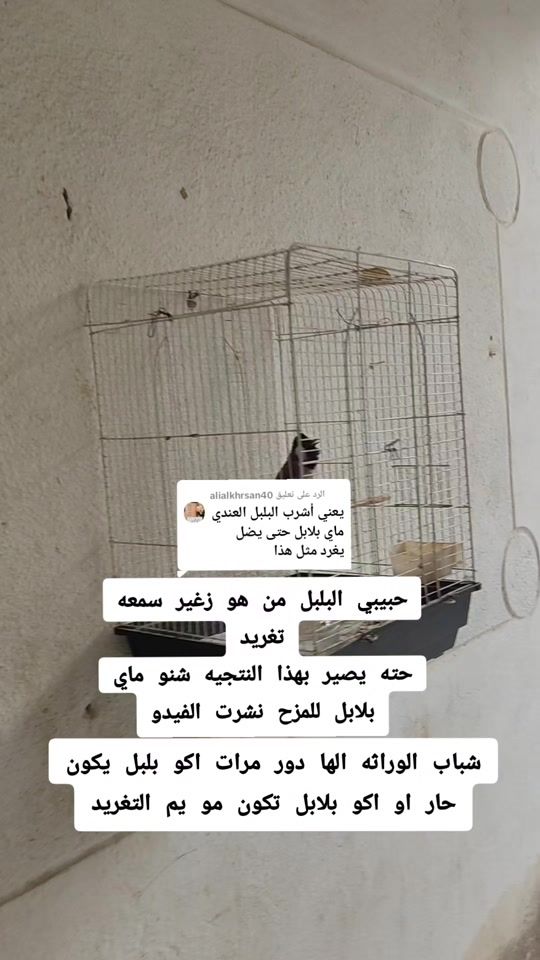 TikTok video thumbnail by ffaaff700