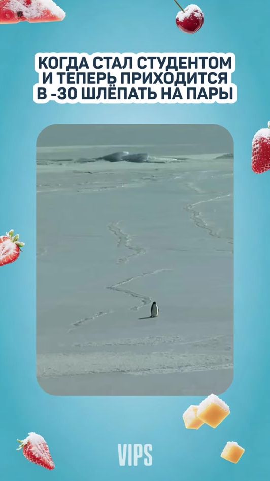 TikTok video thumbnail by vips.drinks