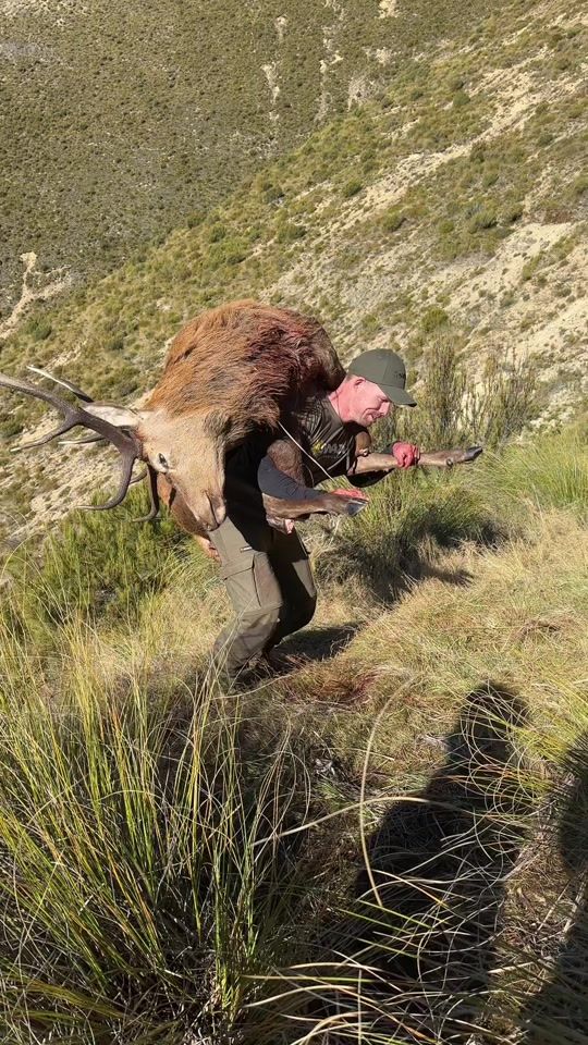 TikTok video thumbnail by chasing.the.wilderness